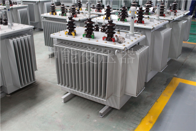 遂宁S22-100KVA/10KV/0.4KV变压器